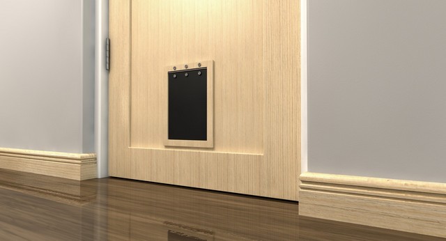 Cat Flap Installation Hampton Wick, Norbiton, KT1