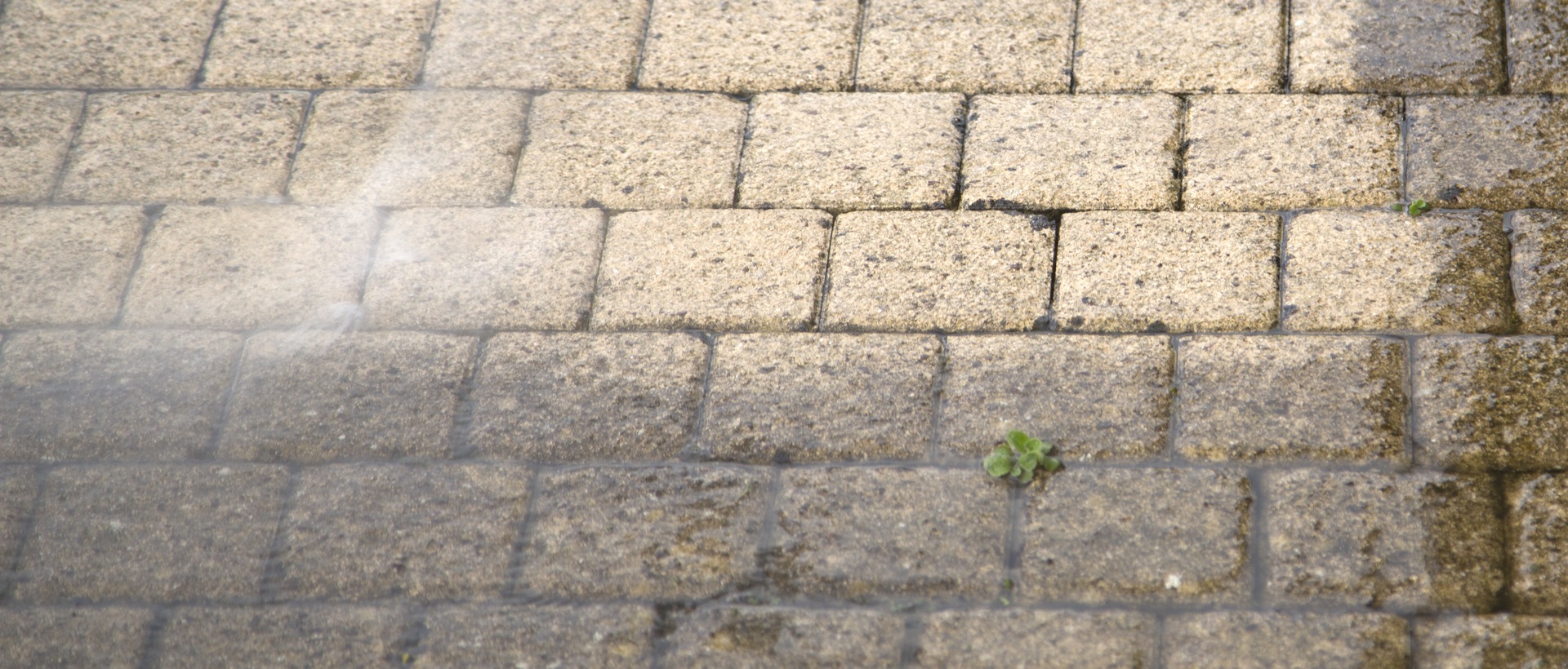 flagging and patios KT1