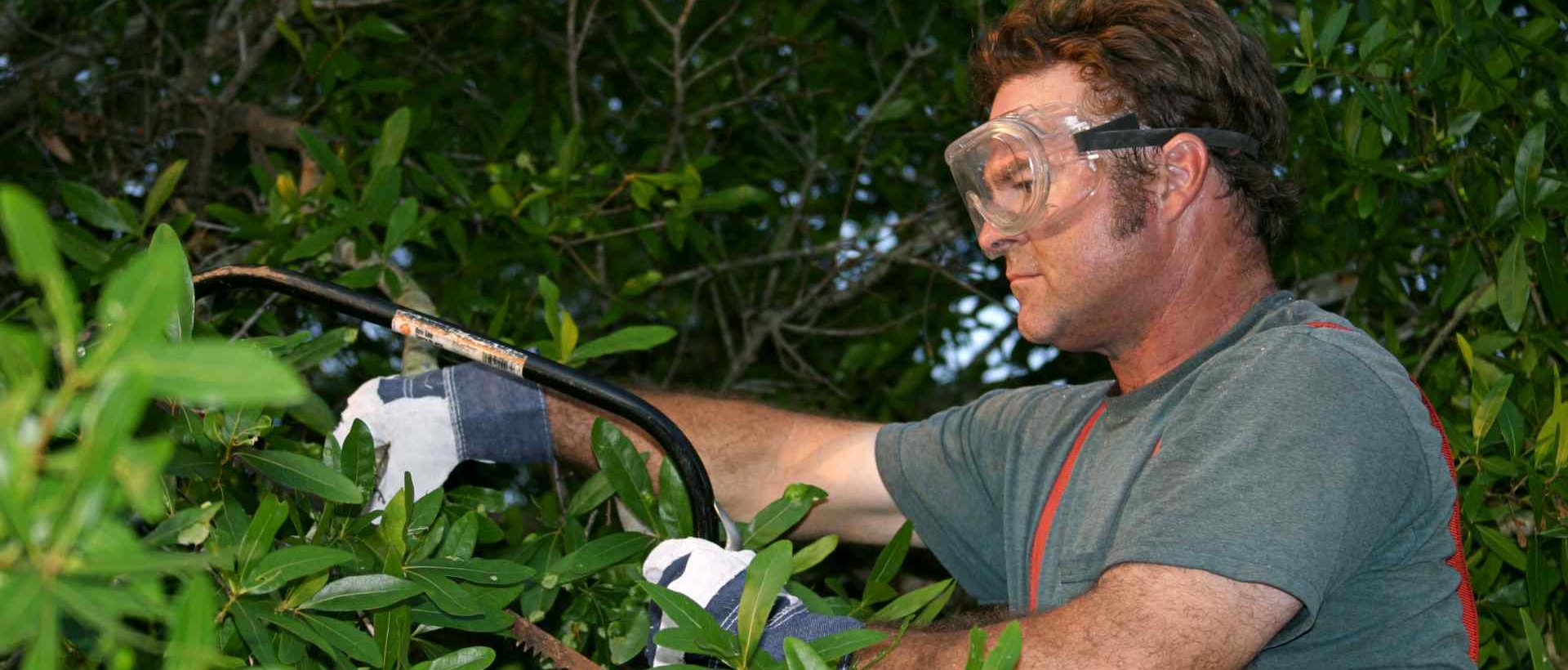 garden clearance KT1